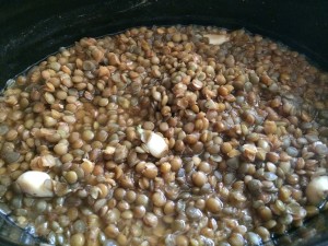 Lentils are easy to cook and can be used in so many ways! 