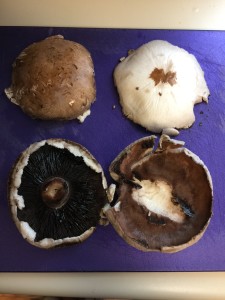 The BEFORE mushrooms are on the left and the AFTER ones are beautiful on the right. 